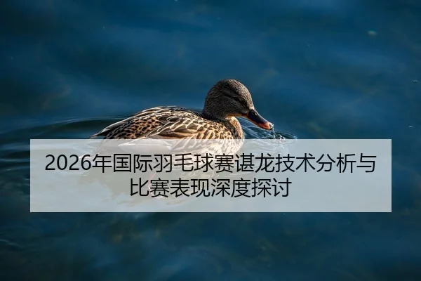 2026年国际羽毛球赛谌龙技术分析与比赛表现深度探讨
