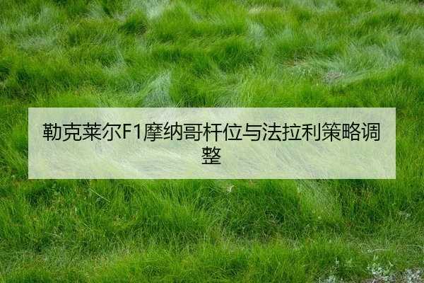 lei-ke-lai-er-mo-na-ge-gan-wei-yu-fa-la-li-ce-lve-tiao-zheng-2-456.jpg