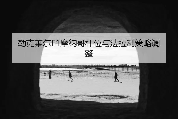 lei-ke-lai-er-mo-na-ge-gan-wei-yu-fa-la-li-ce-lve-tiao-zheng-3-378.jpg