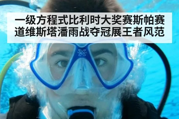 一级方程式比利时大奖赛斯帕赛道维斯塔潘雨战夺冠展王者风范